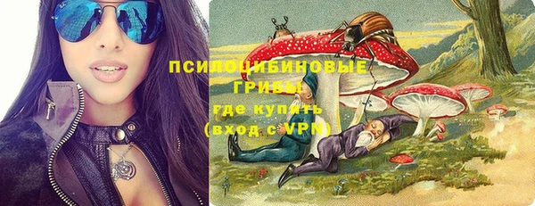 apvp Аркадак