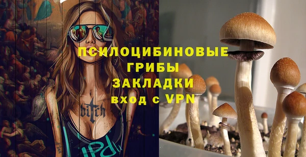 mdpv Арсеньев