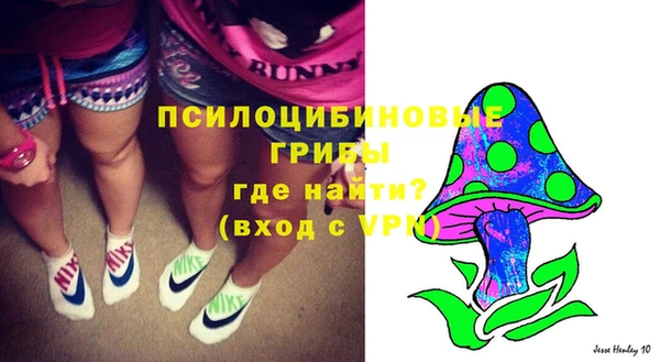 mdpv Арсеньев