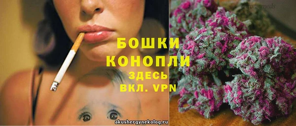 apvp Аркадак